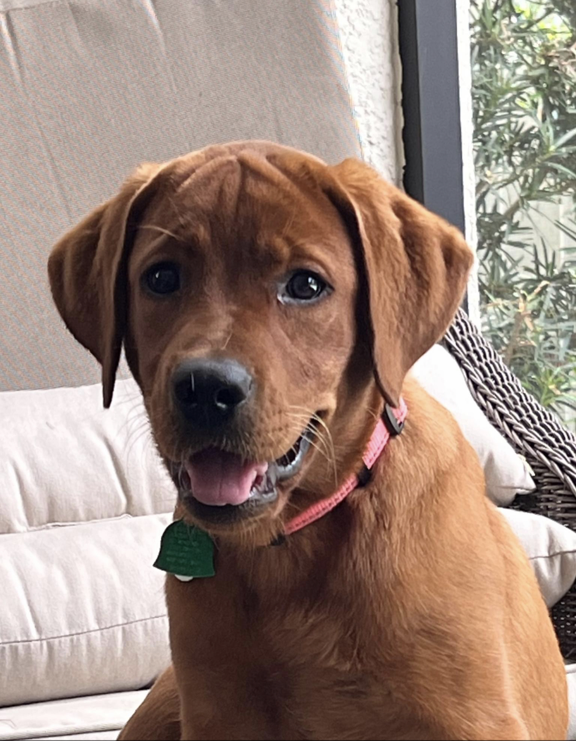 Maggie