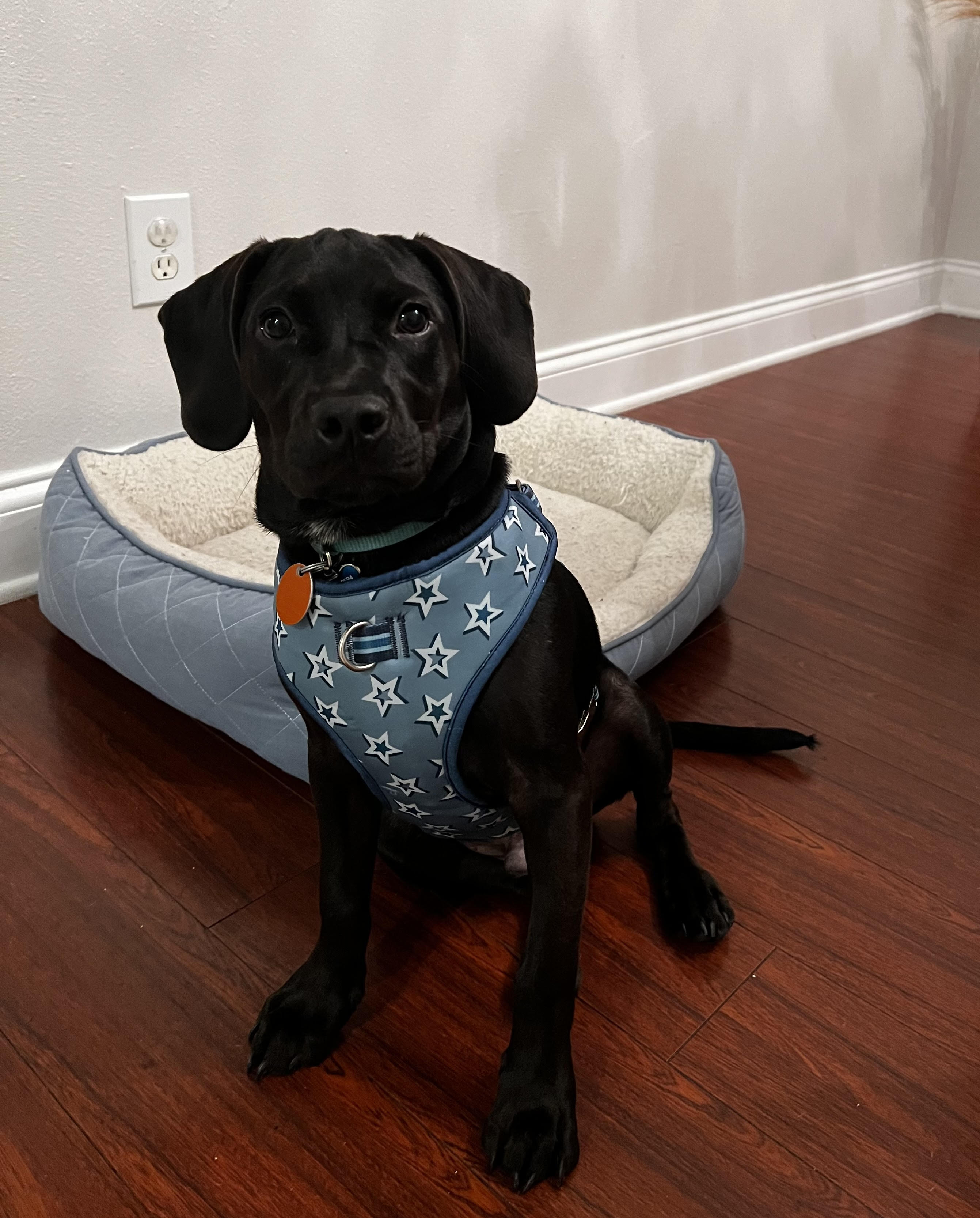 Milo