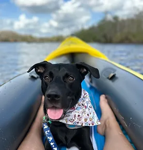 Remi