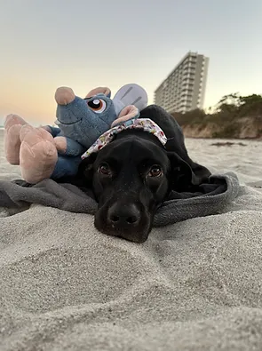 Remi